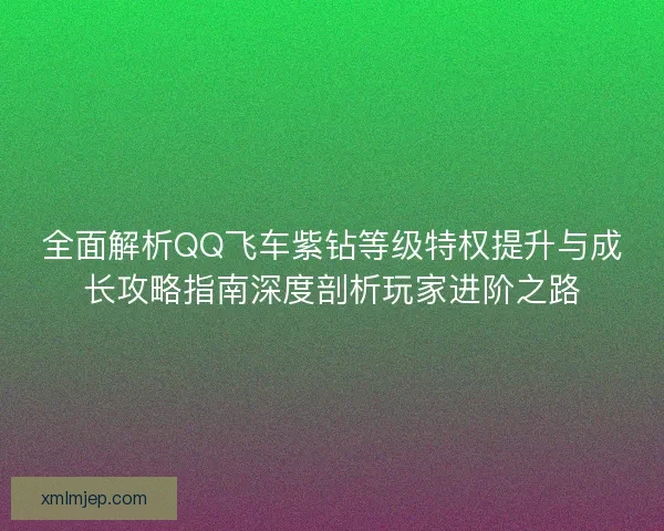 全面解析QQ飞车紫钻等级特权提升与成长攻略指南深度剖析玩家进阶之路